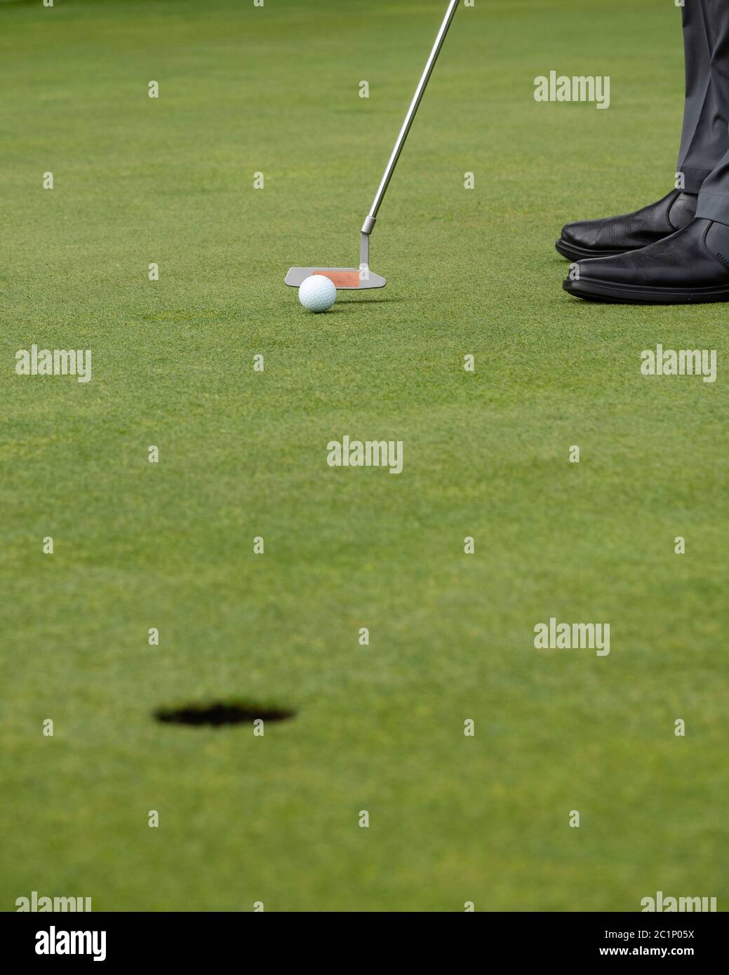 Man putting ball on golf green, close up view Stock Photo