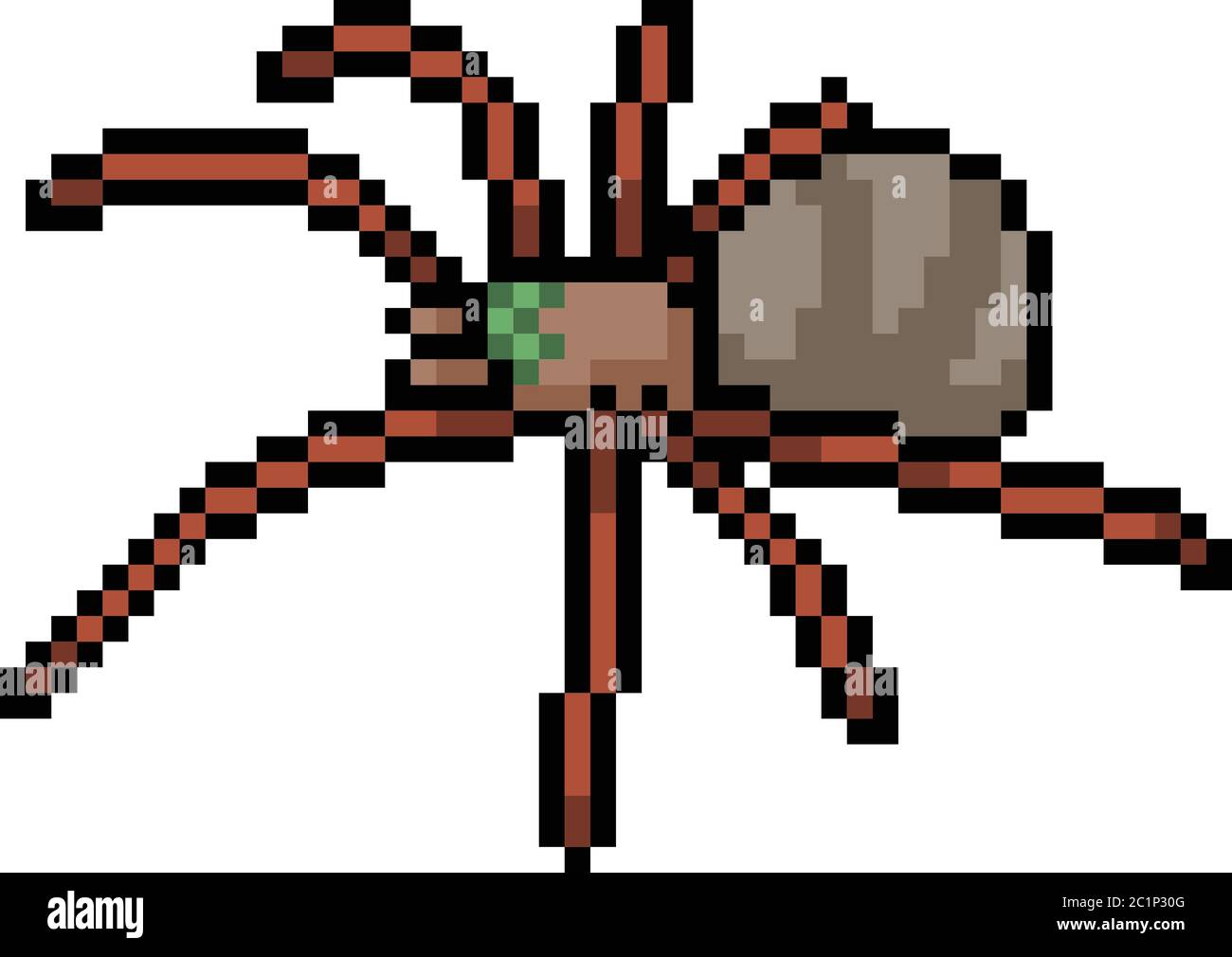 Tarantula vector vectors Stock Vector Images - Alamy