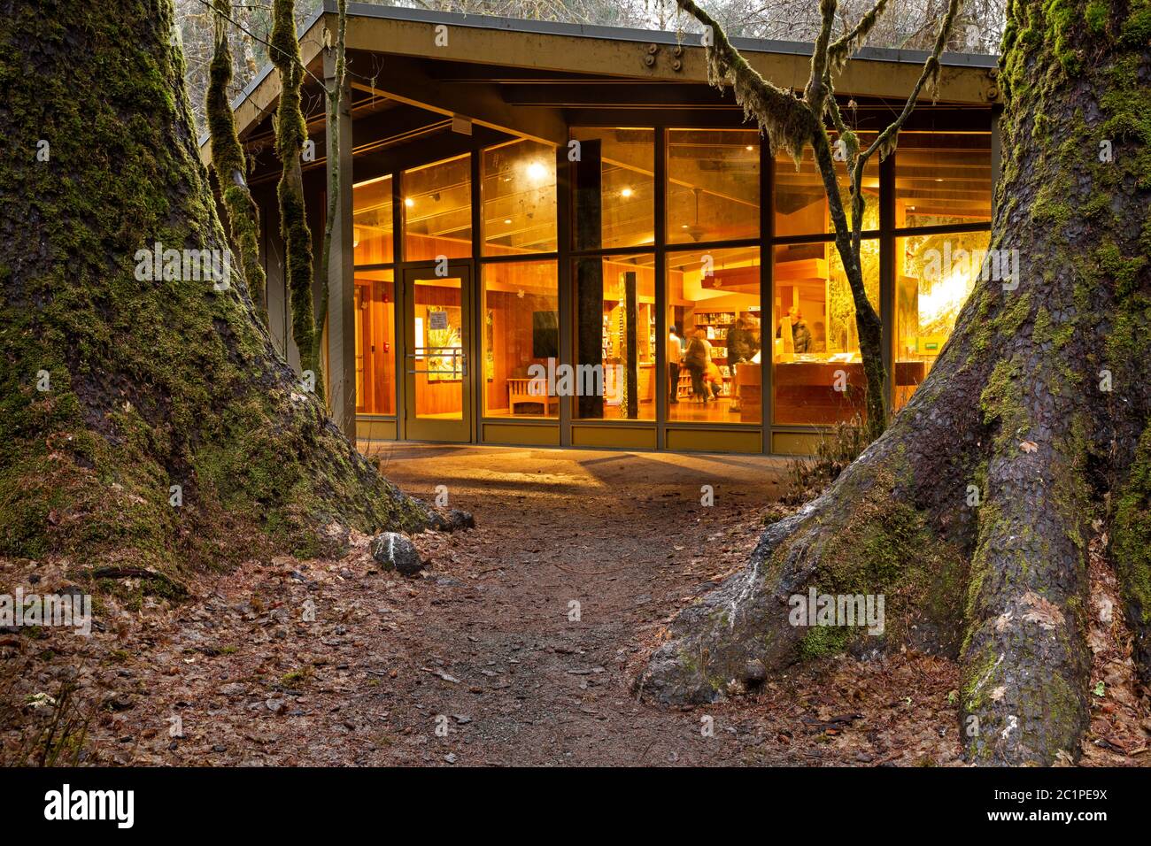 WA16835-00...WASHINGTON - Winter time at the Hoh Rain Forest Visitor Center in the Hoh River Valley of Olympic National Park. Stock Photo