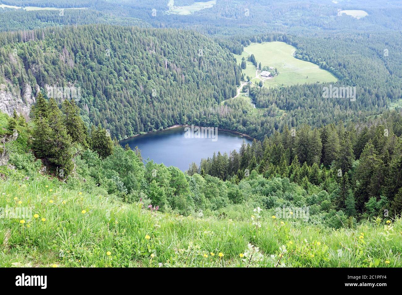 Feldsee or Feldbergsee at the foot of the Feldberg in the Southern Black Forest Stock Photo