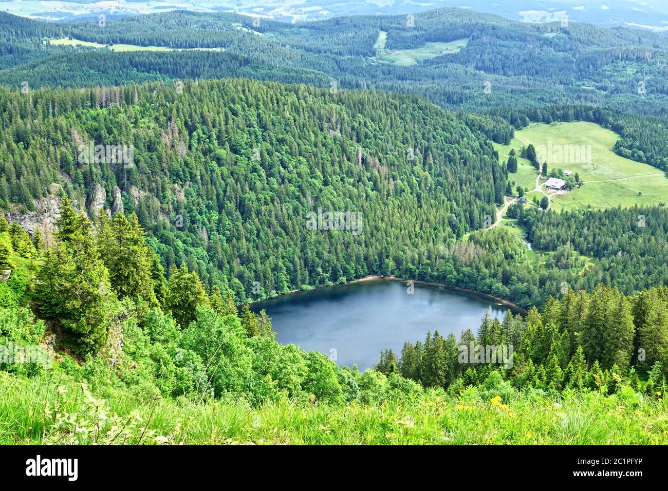The Feldsee or Feldbergsee at the foot of the Feldberg in the Southern Black Forest Stock Photo