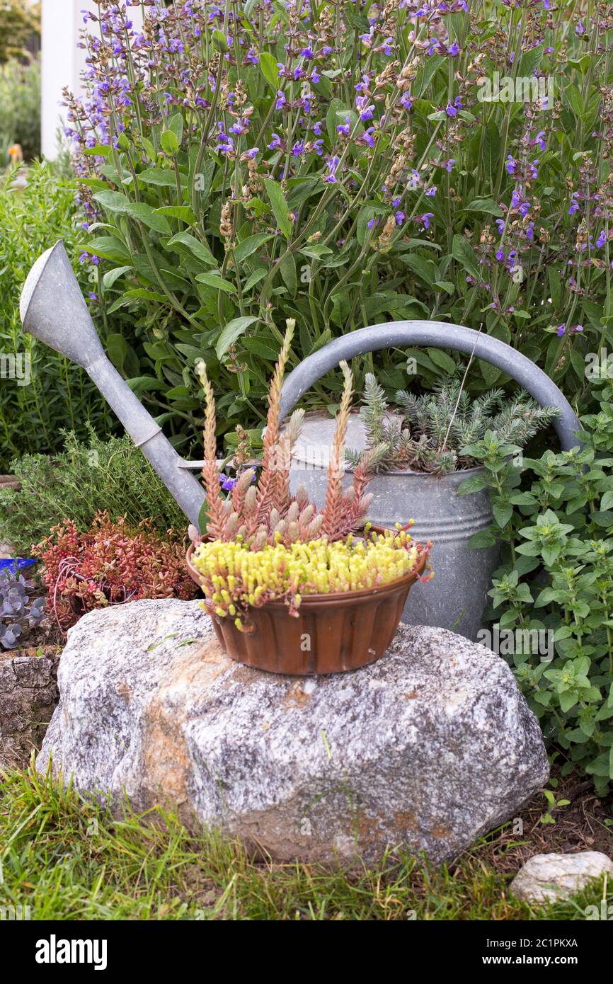 Herbal Garden Stock Photo