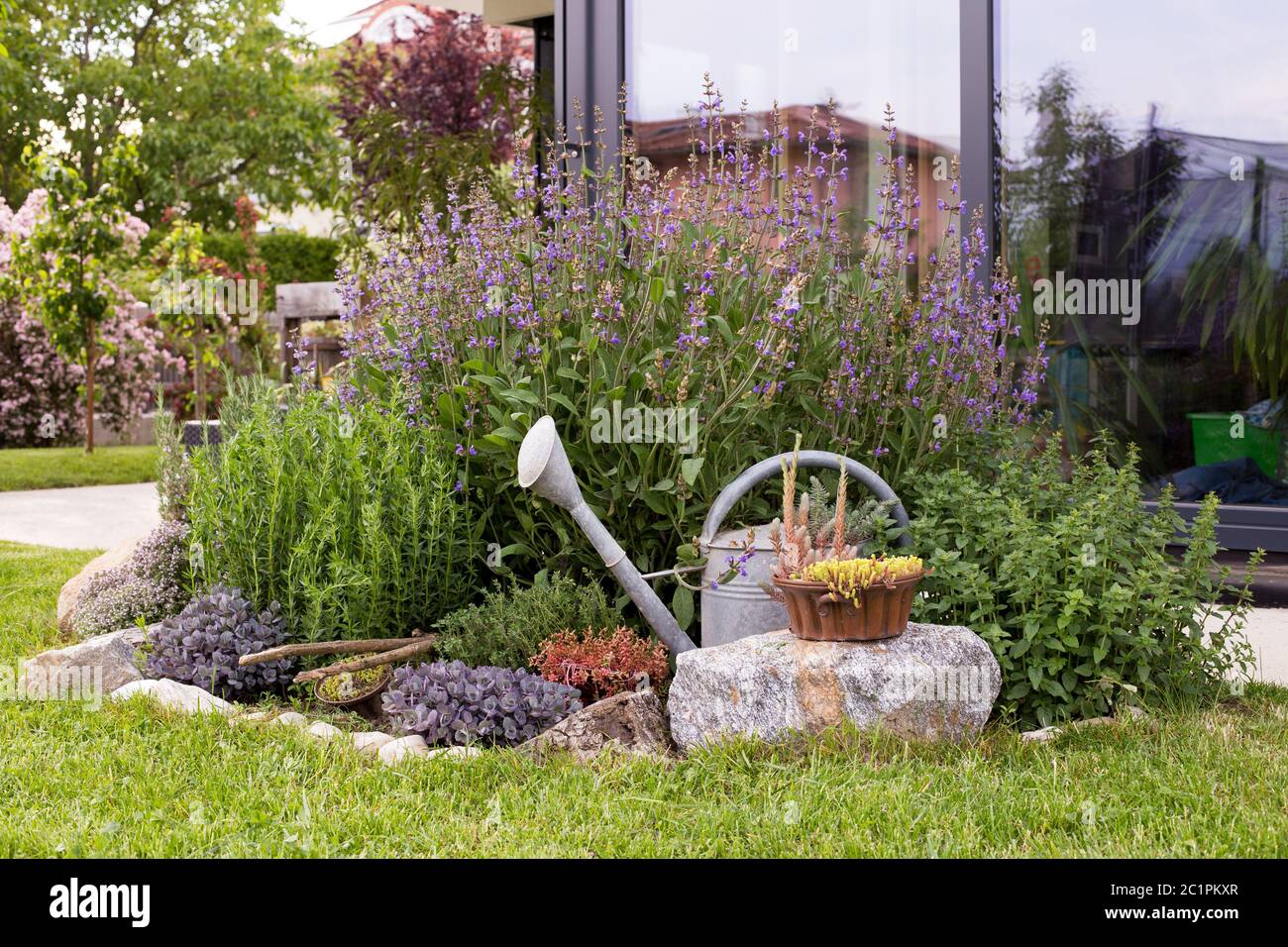 Herbal Garden Stock Photo