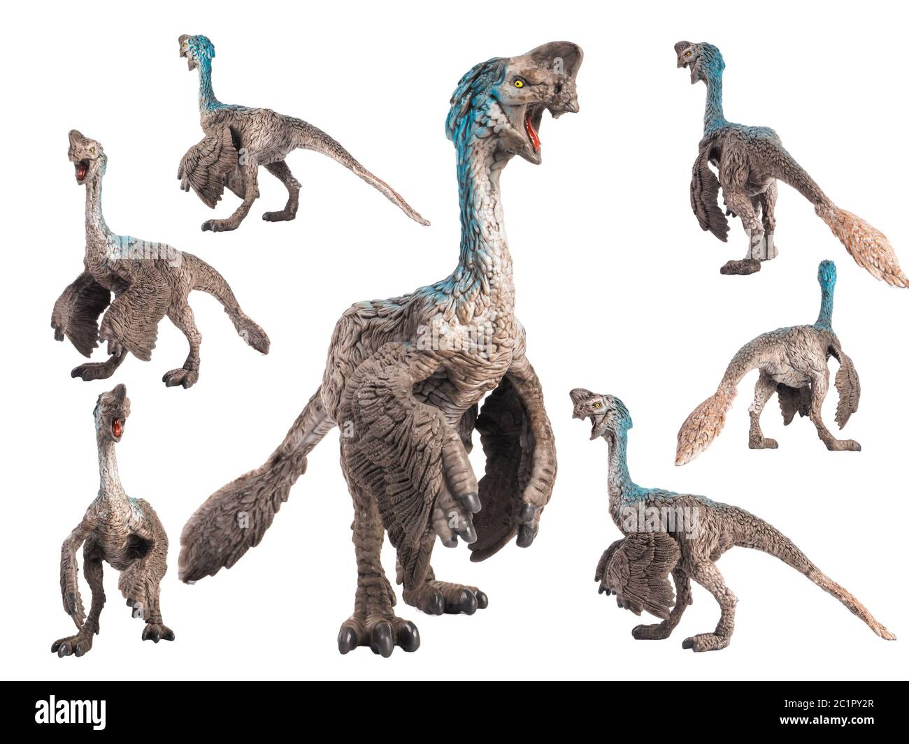 Oviraptor Dinosaur on white background Stock Photo - Alamy