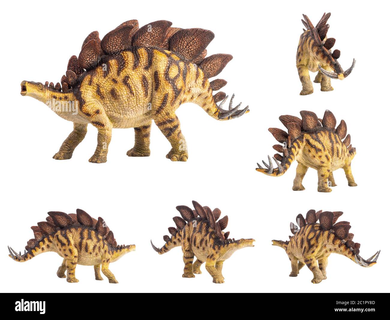 Stegosaurus Dinosaur on white background Stock Photo - Alamy