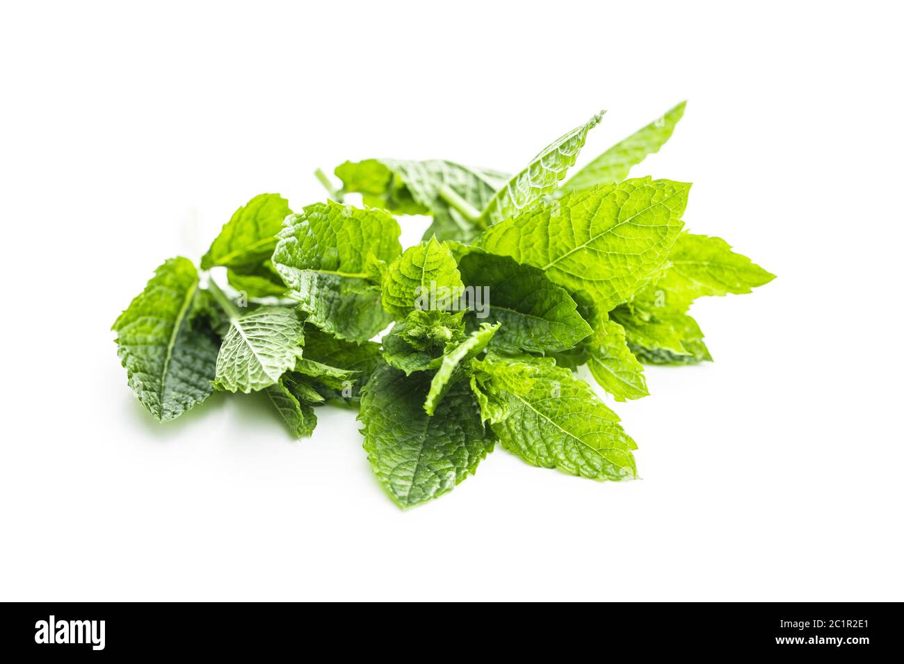 Green mint leaves isolated on white background. Stock Photo