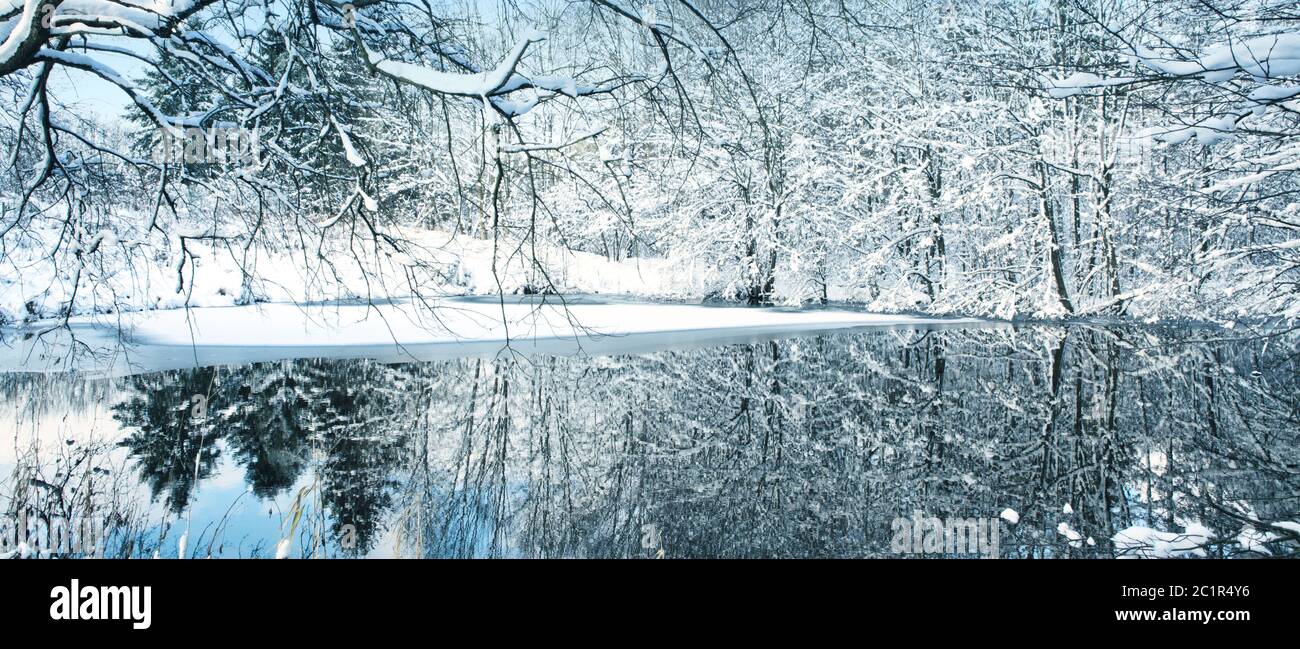 New forest snow capped trees hi-res stock photography and images - Alamy