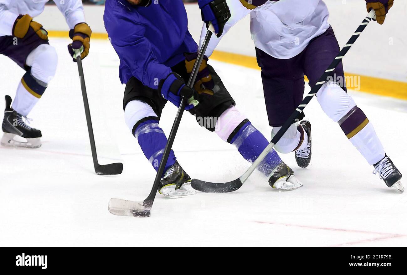 Ice hockey player dribbling puck on rink Stock Photo Alamy