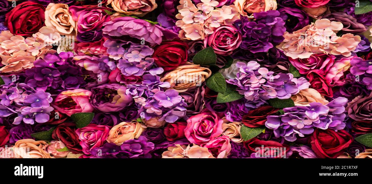 Many different pink flowers background texture, romantic blurred design Stock Photo