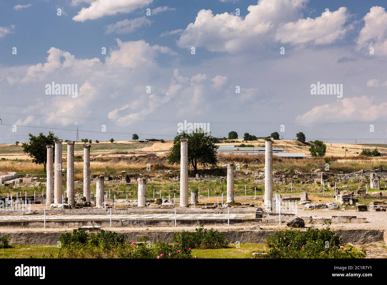 Archaelogical Site of Pella, Ancient capital of Macedon kingdom, Birthplace of Alexander the Great, Pella, Central Macedonia,Greece,Europe Stock Photo