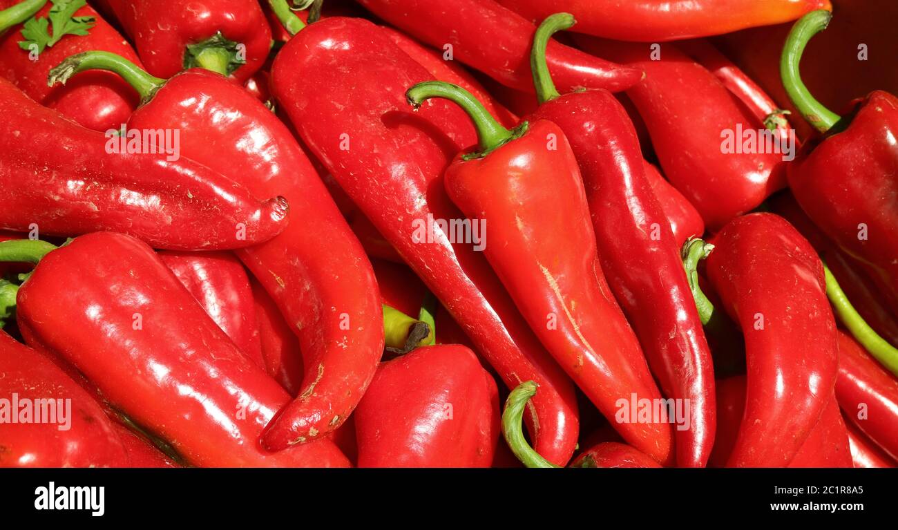 Pile of fresh ripe red chili peppers for sale at the local market Stock ...