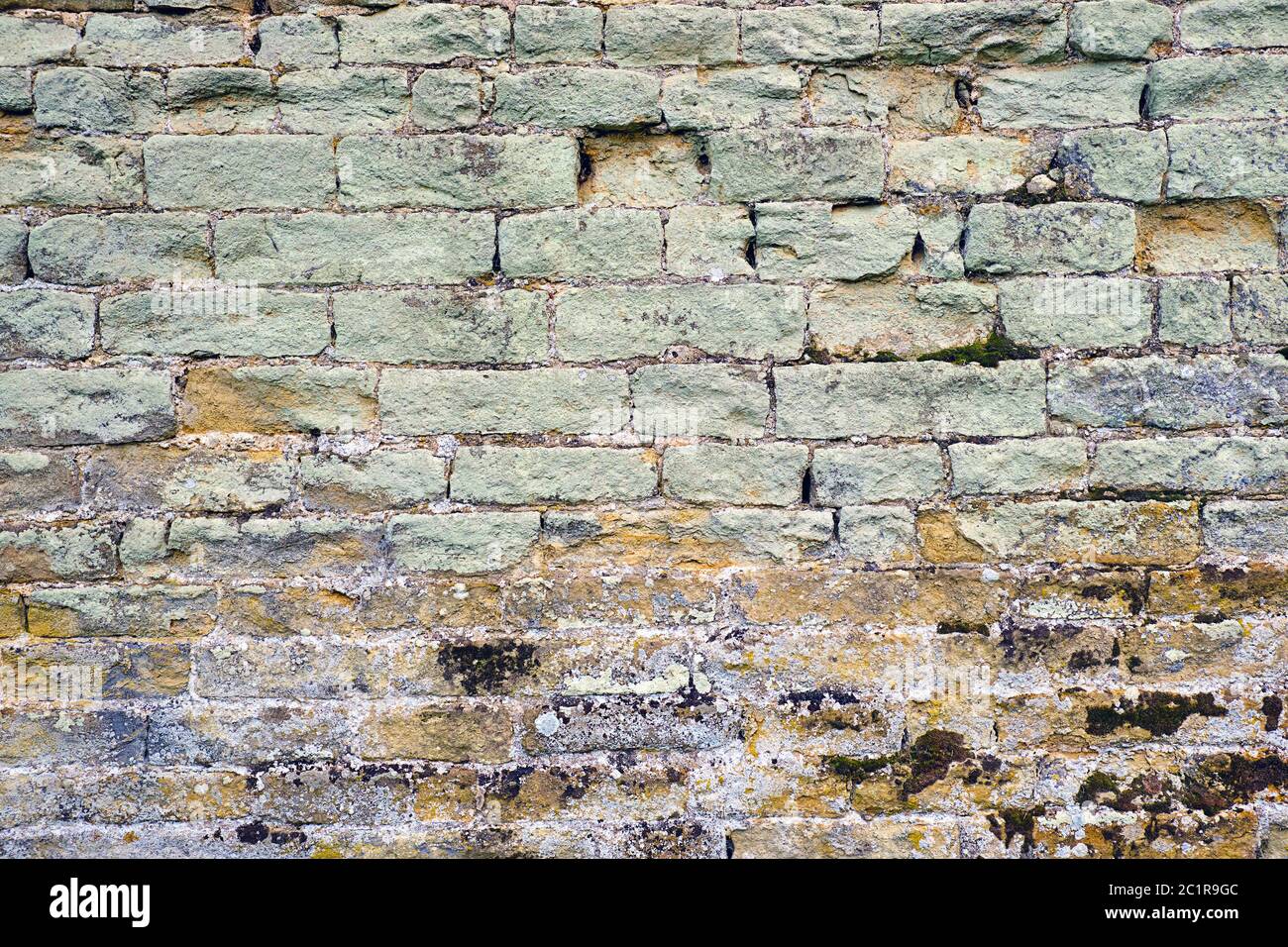 Background from an old green brick wall with some mould Stock Photo - Alamy