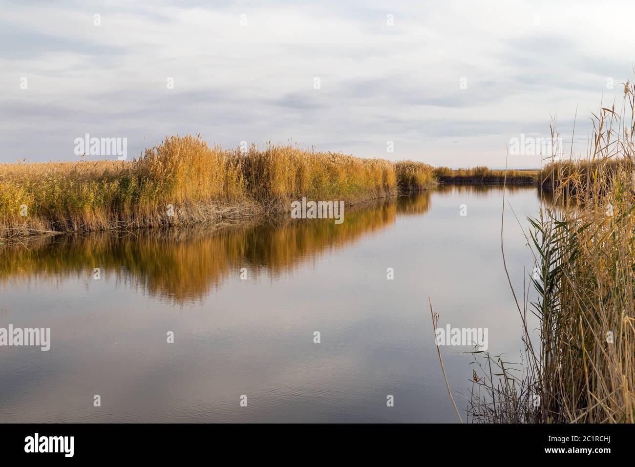 A beautiful river with reed on its shore and its reflection on the ...