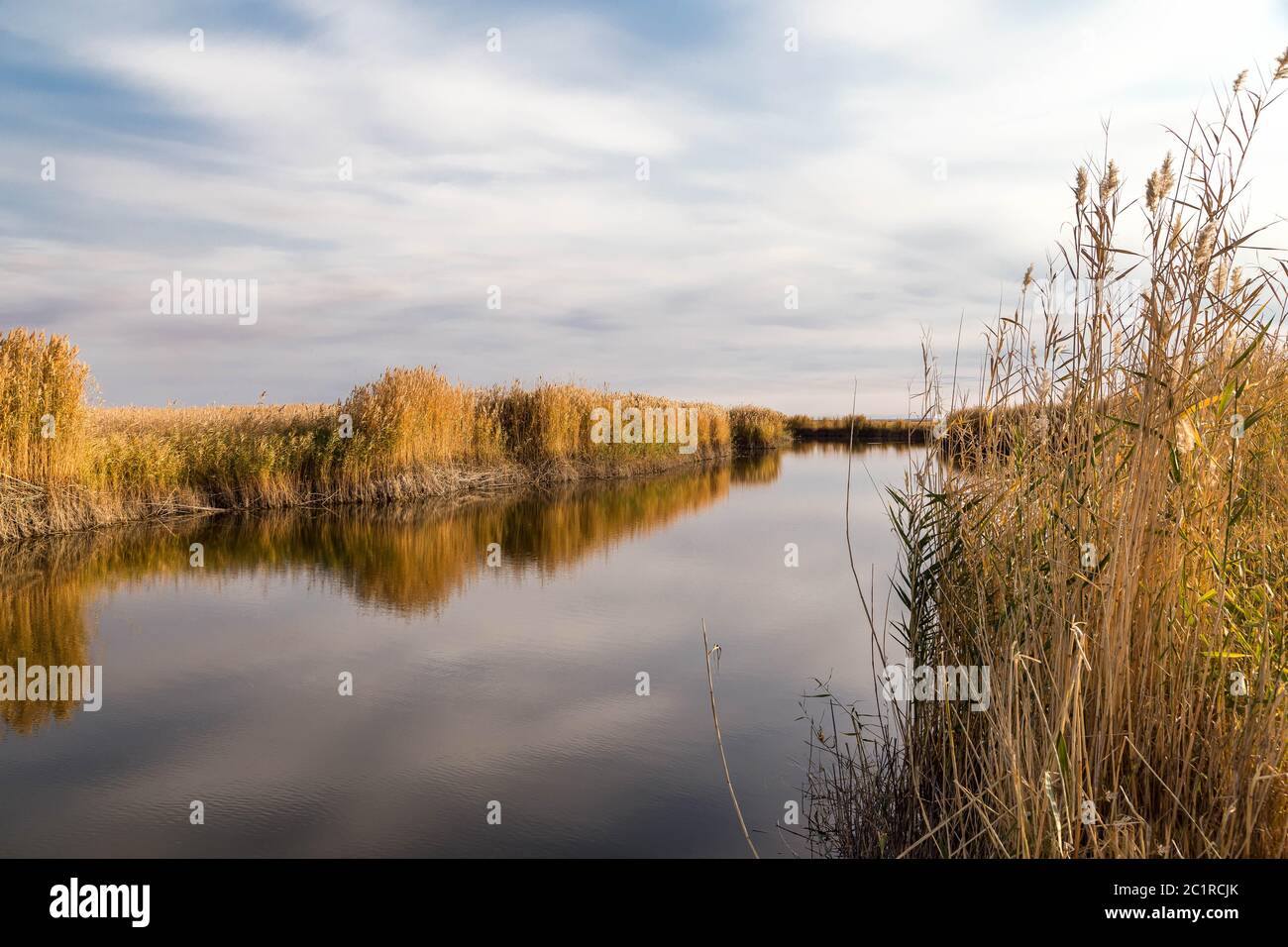 A beautiful river with reed on its shore and its reflection on the ...