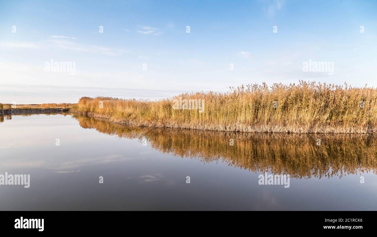A beautiful river with reed on its shore and its reflection on the ...