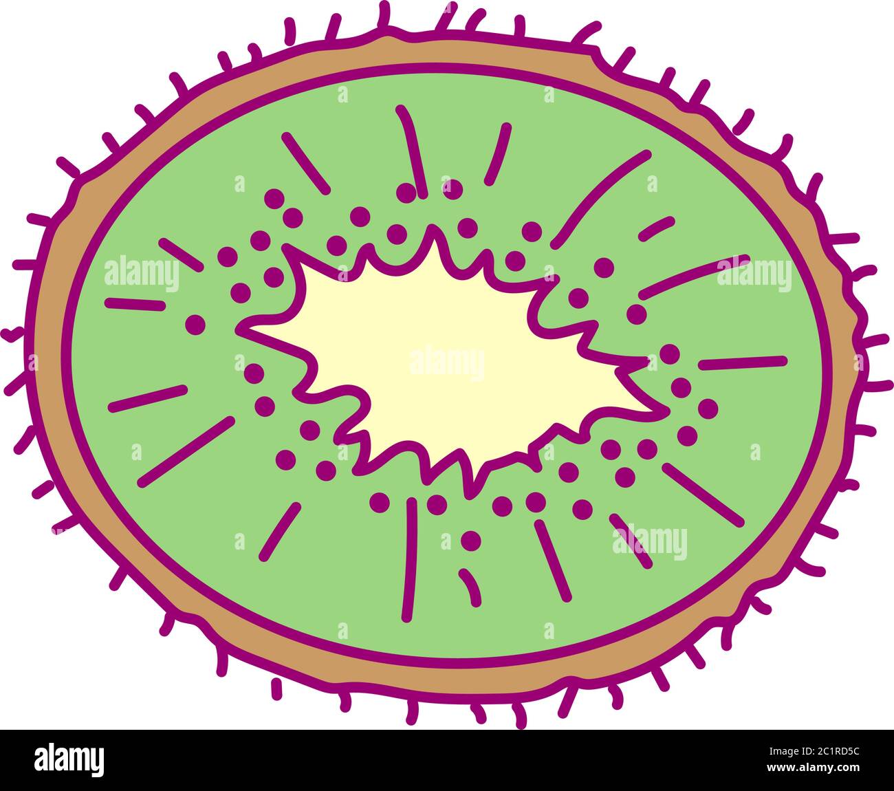 vector cute drawn fruit clipart cut kiwi Stock Vector