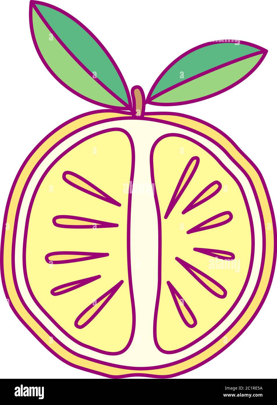 vector cute drawn fruit clip art citrus Stock Vector