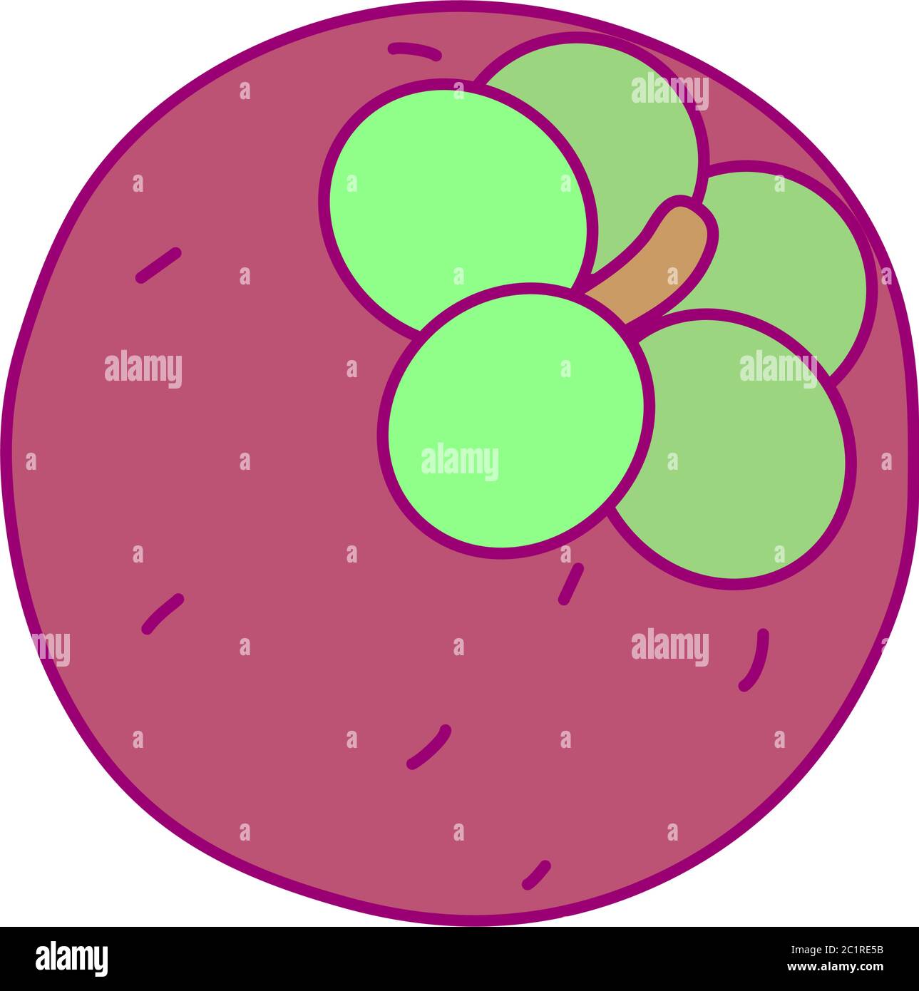 vector cute drawn fruit clip art mangosteen Stock Vector Image & Art