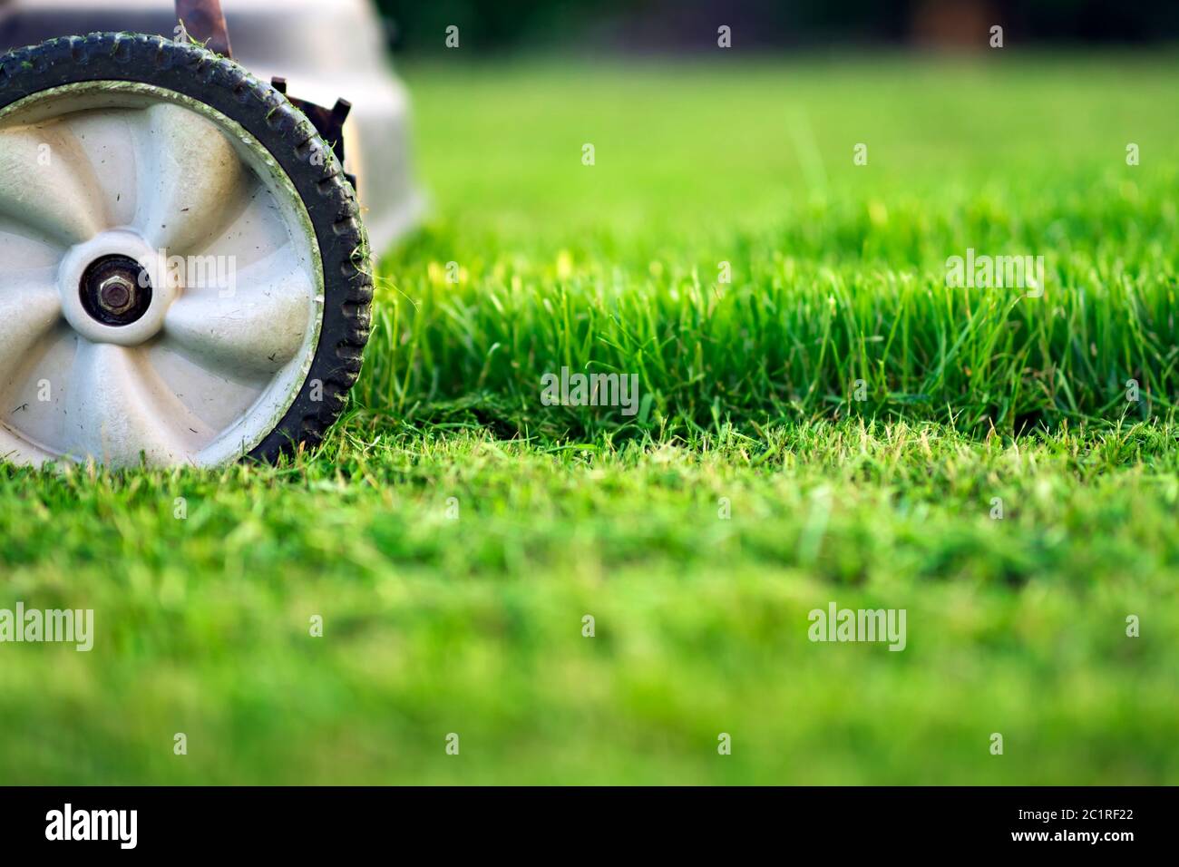 Lawn mower cutting green grass Stock Photo