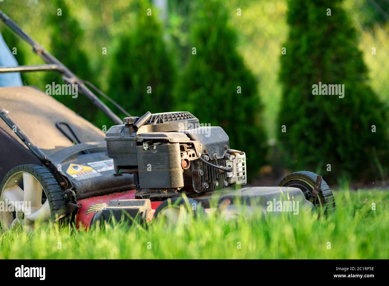 Lawn mower cutting green grass Stock Photo