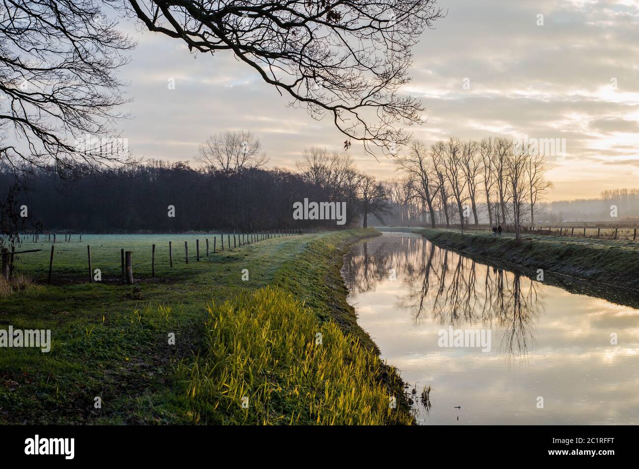 Fantastic calm river with fresh grass in the sunset. Beautiful green winter landscape on a cold day in the morning in the Nether Stock Photo