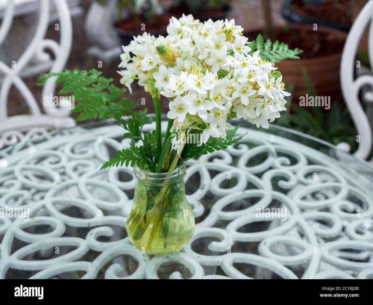 White flower in glass vase on glass top on wrought iron table vintage
