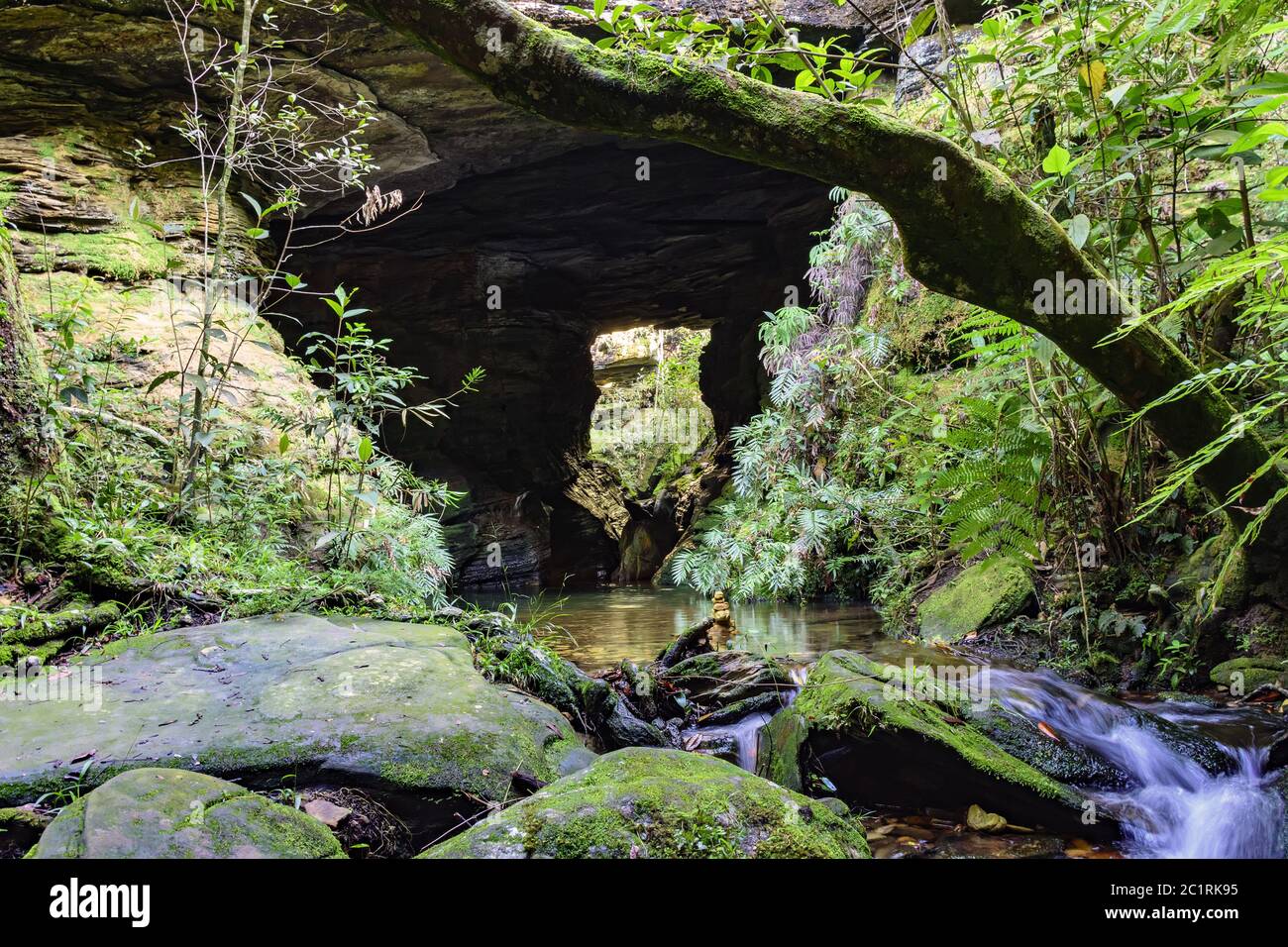 River among rocks, moss, cavern and rainforest Stock Photo