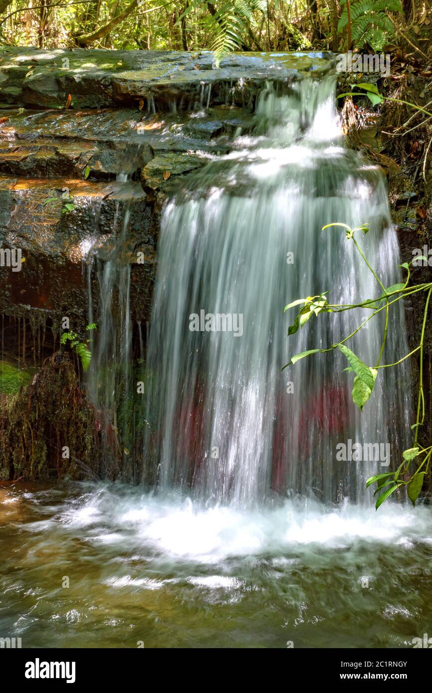 Small cascade in the rain forest interio Stock Photo