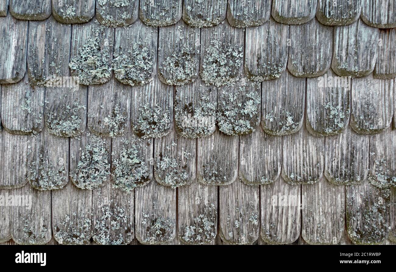 Closeup of old, gray, weathered wood shingles with lichens Stock Photo