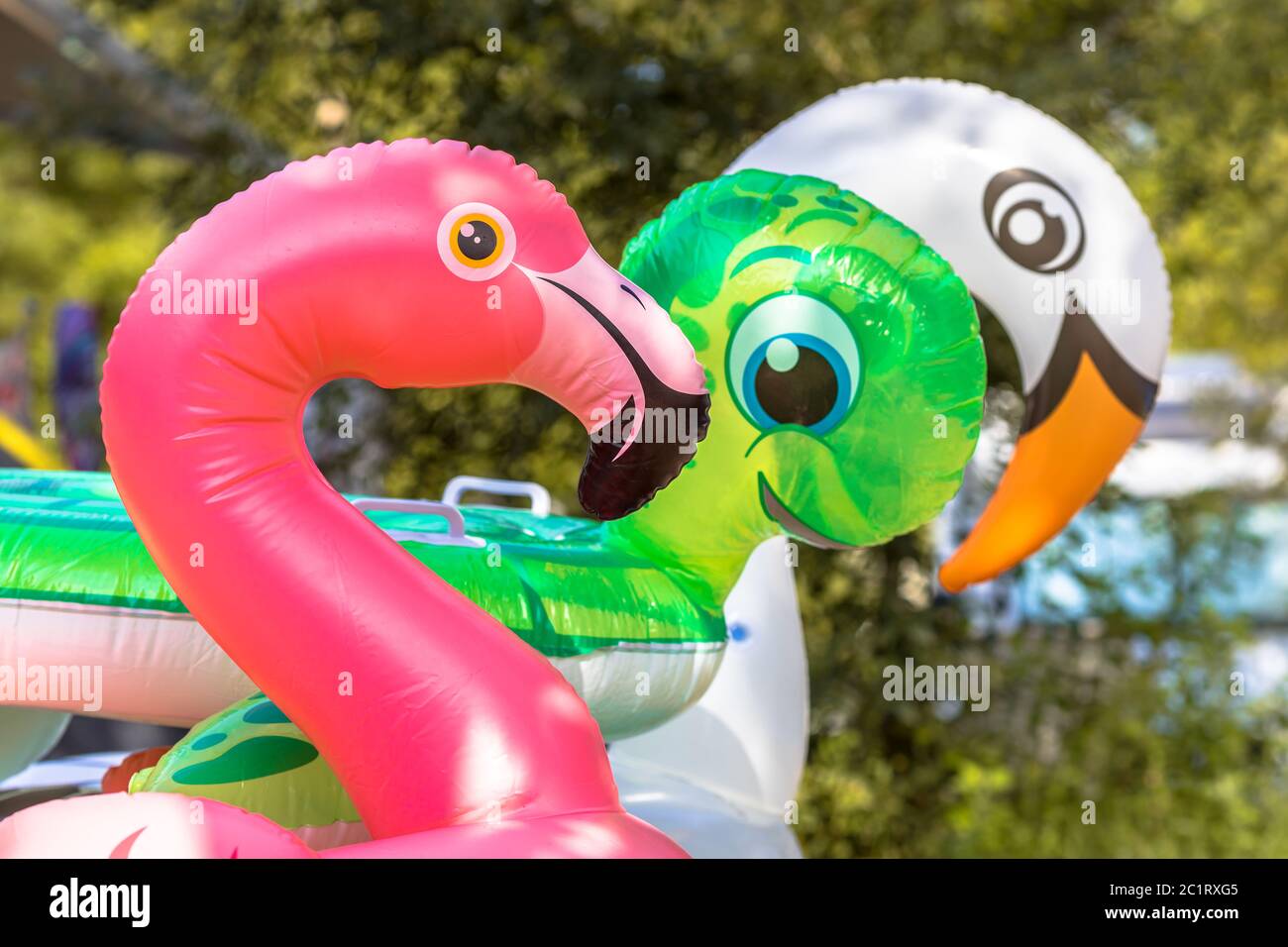 Inflatable turtle float hi-res stock photography and images - Alamy