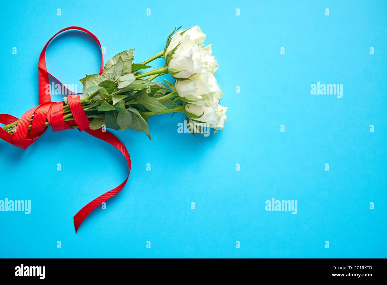 Bouquet of white roses with red bow on blue background Stock Photo
