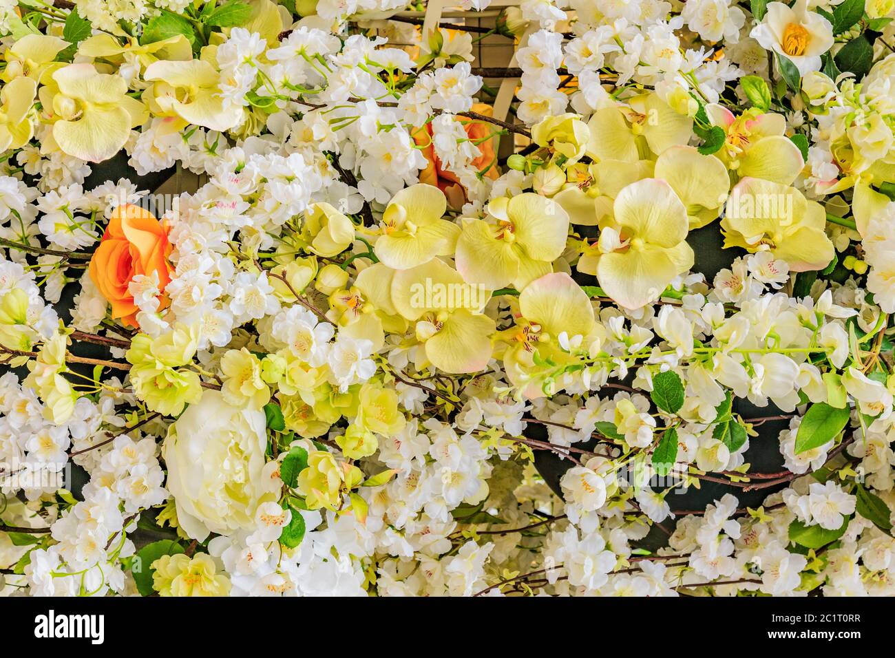 Vintage flowers close up wallpaper hi-res stock photography and images ...