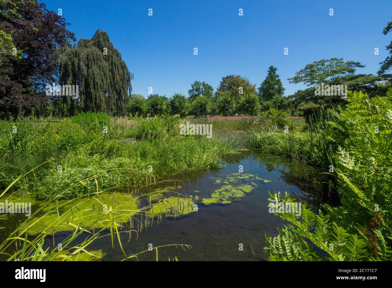 Germany, Hannover Botanical Garden in the Herrenhausen Garden Stock