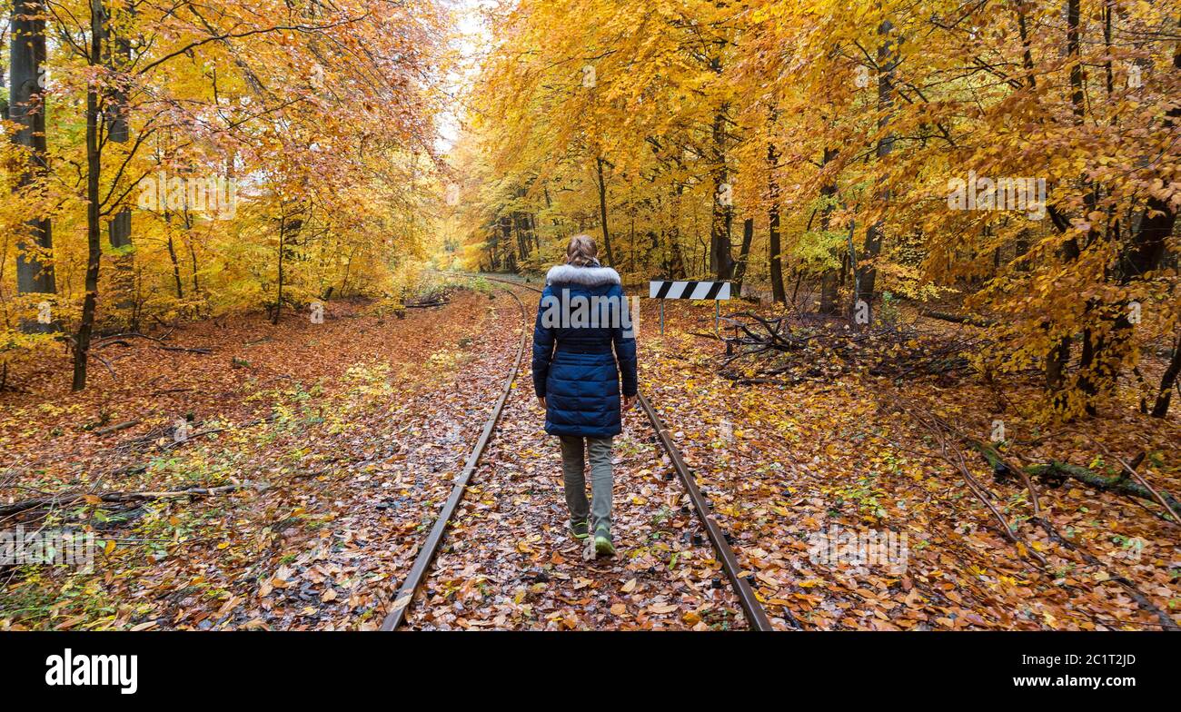 Young women walking alone in a colorful autumn forest on a old railway tracks. Stock Photo