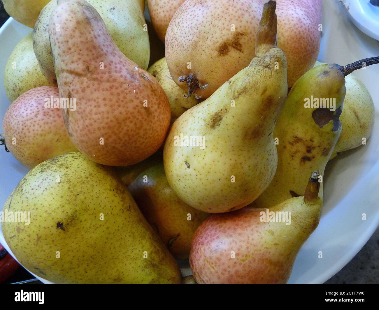 Pears Stock Photo