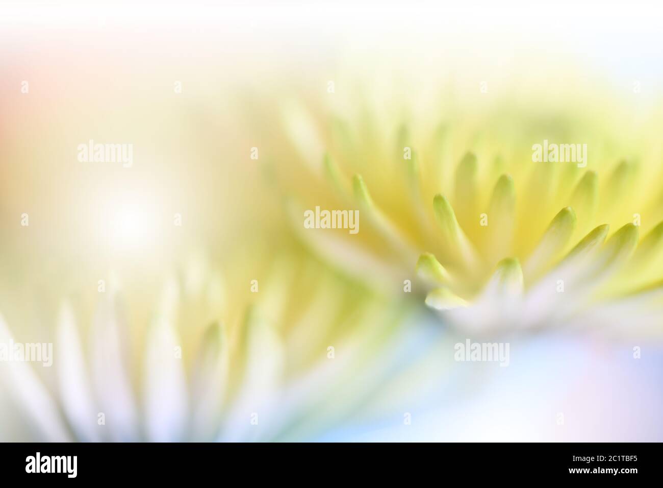 Ecology leaves hi-res stock photography and images - Alamy