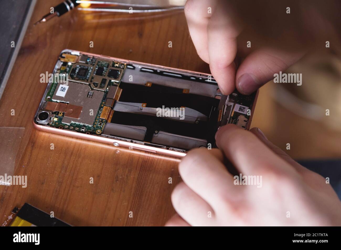 Close-up of the hand of a home craftsman repairing a disassembled smartphone. The concept of self-repair electronics at home Stock Photo