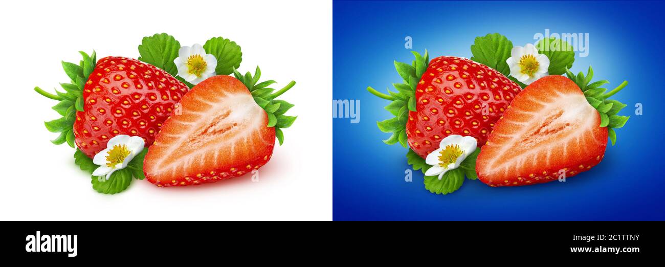 Strawberry isolated. Two strawberries with flowers and leaves isolated ...