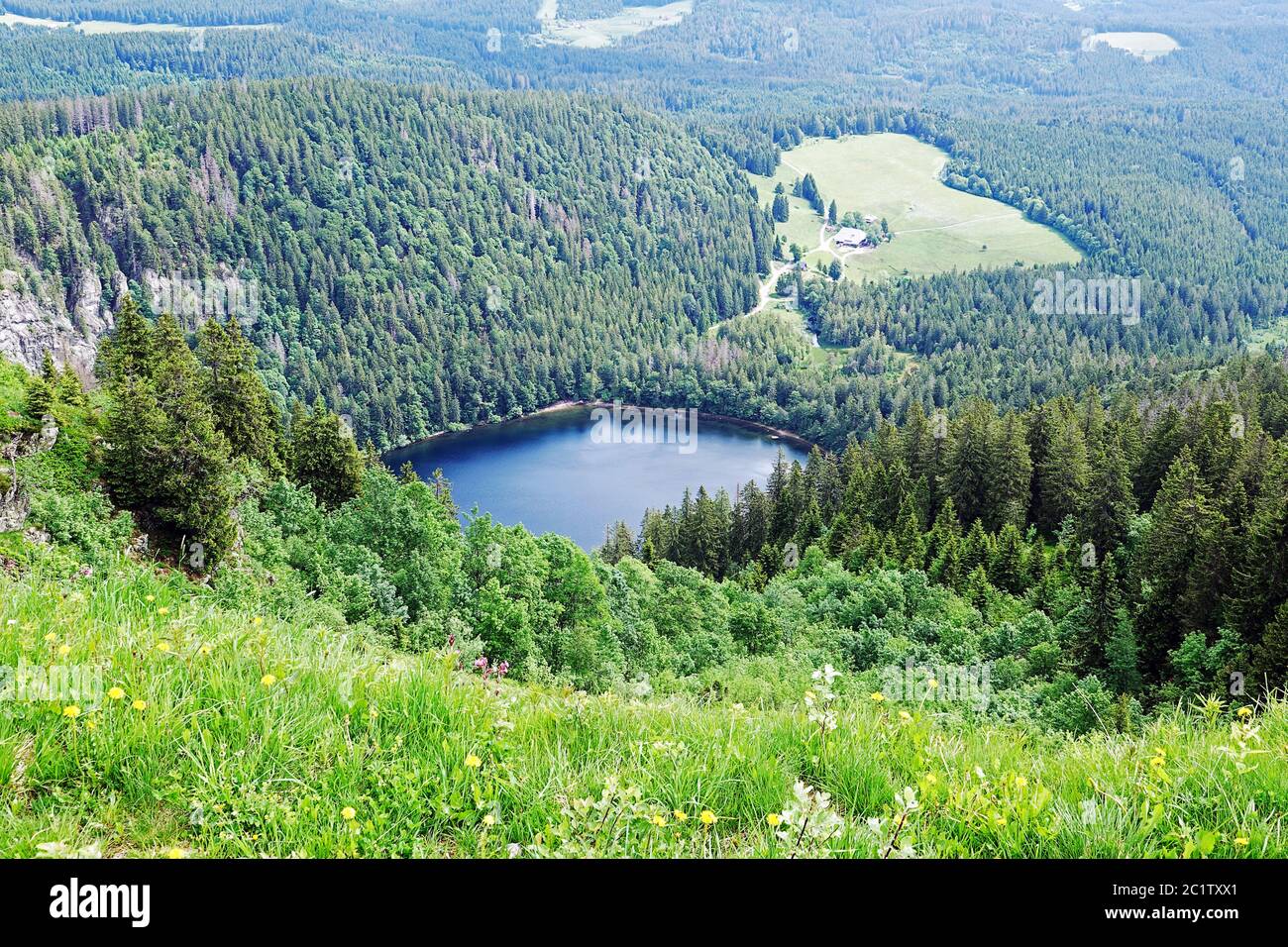Feldsee at the foot of the Feldberg in the Southern Black Forest Stock Photo