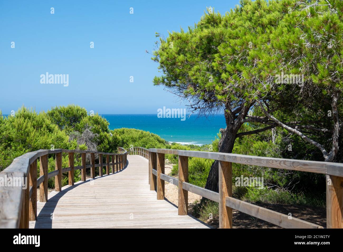 Broadwalk to a sand beach, trees, ocean and blue sky Stock Photo