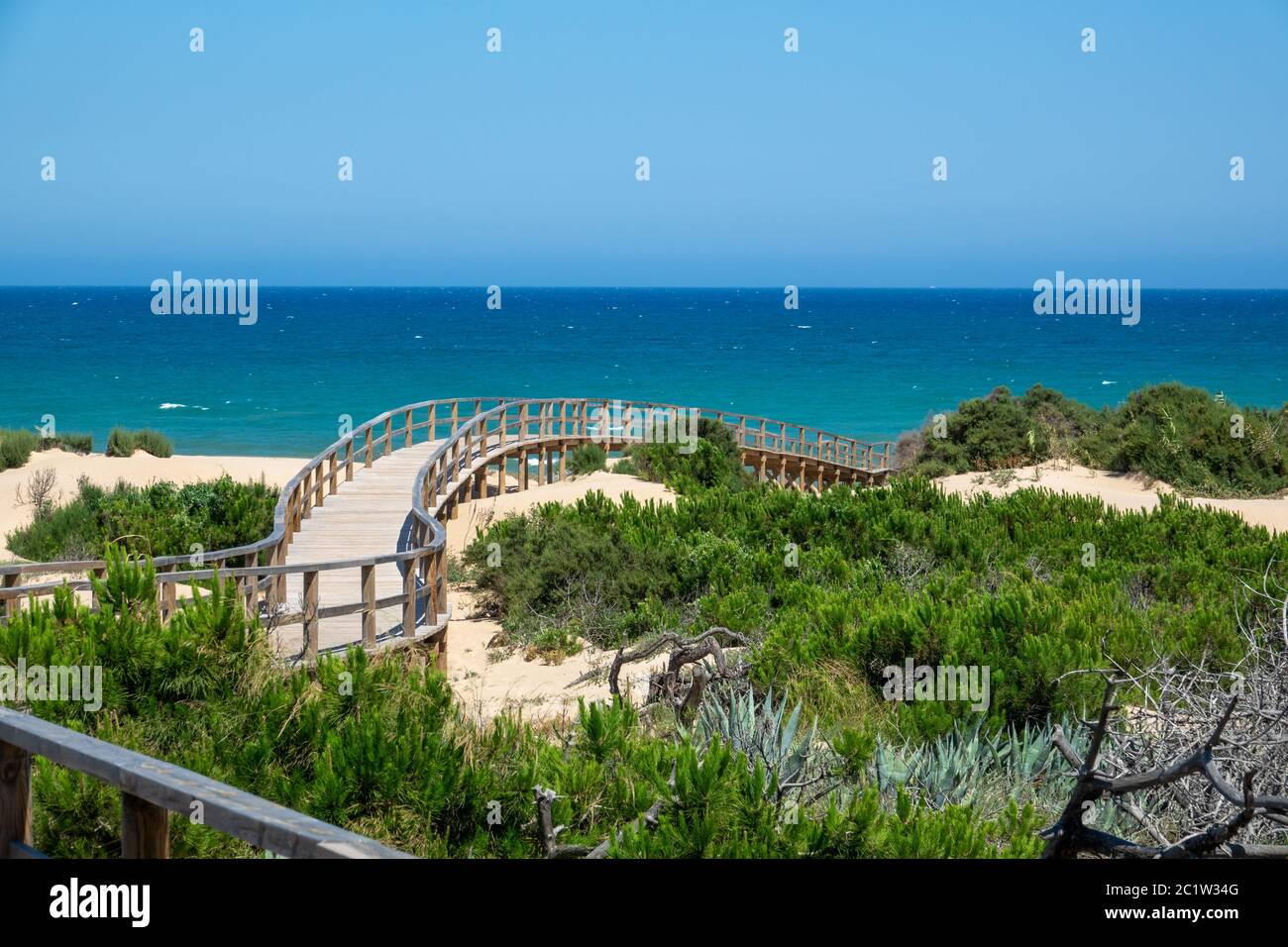 Broadwalk to a sand beach, trees, ocean and blue sky Stock Photo