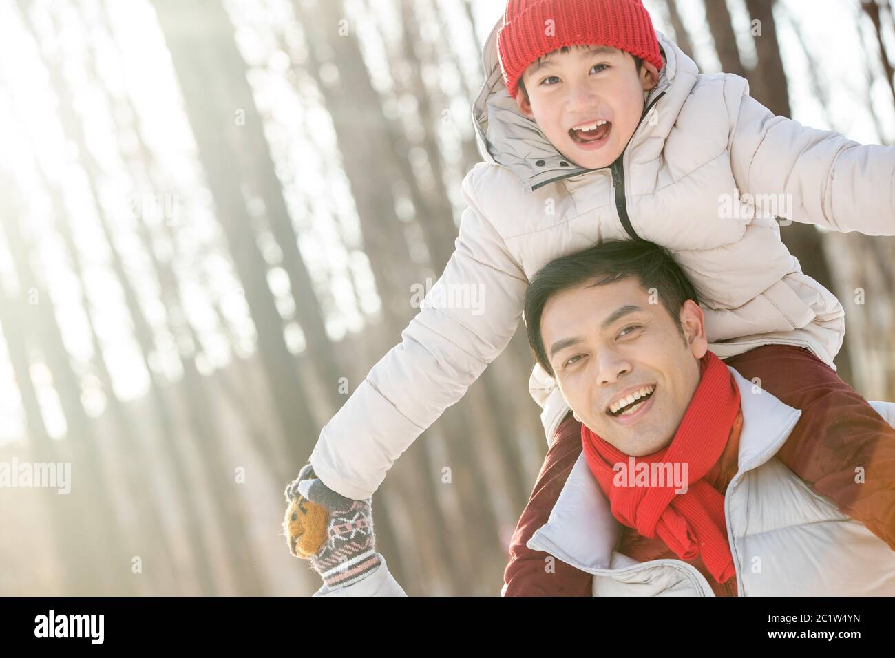 Indian adult father son hi-res stock photography and images - Alamy