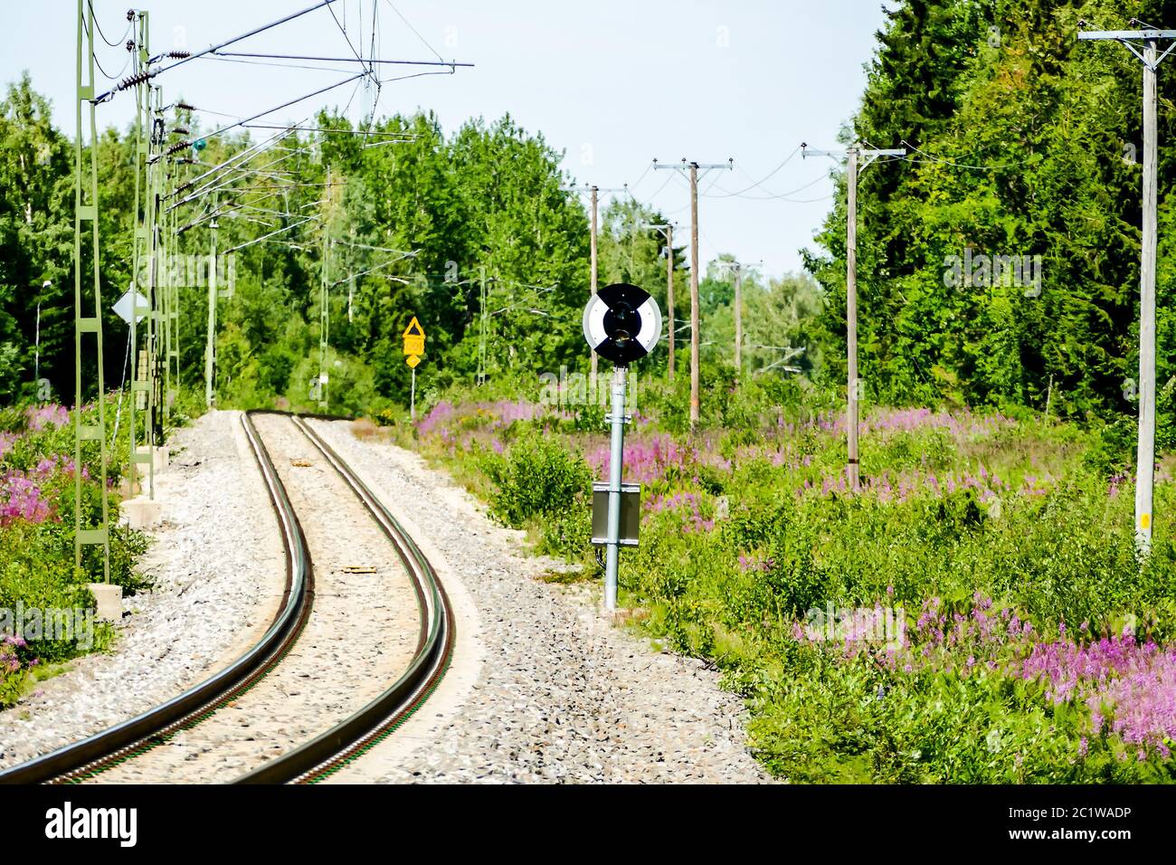 Railway in park hi-res stock photography and images - Alamy