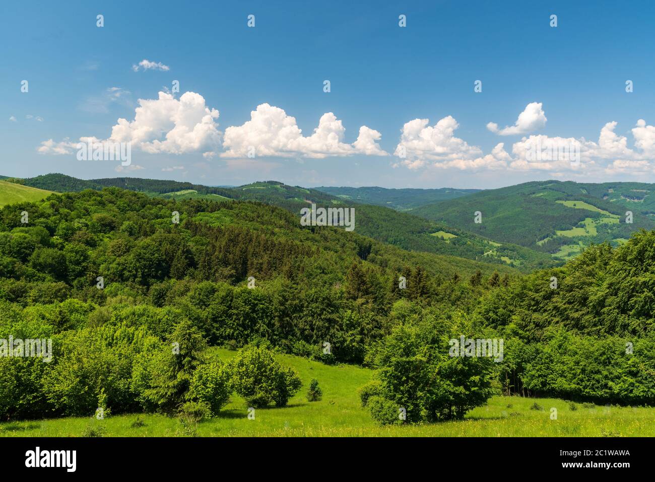 Beautiful Biele Karpaty mountains near Vrsatske Podhradie vollage on czech-slovakian borders with hills covered by mix of meadows and forest during sp Stock Photo