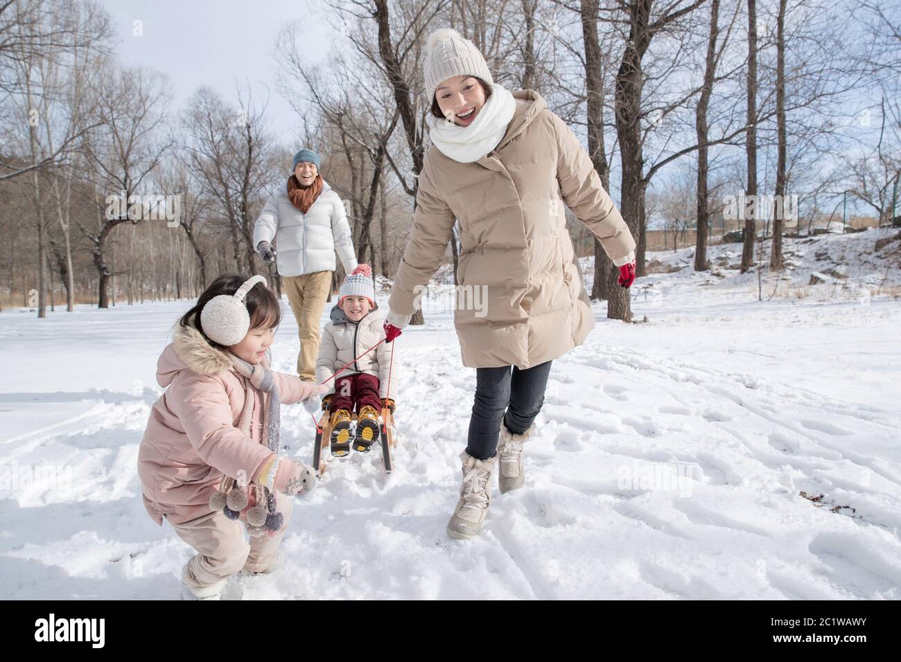 Happy family sledding in the snow Stock Photo - Alamy