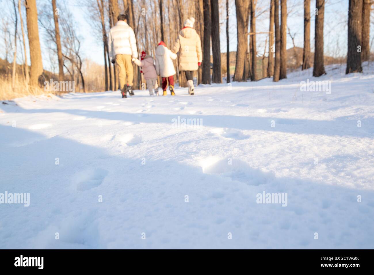 Happy Family To Go For A Walk In The Snow Stock Photo Alamy