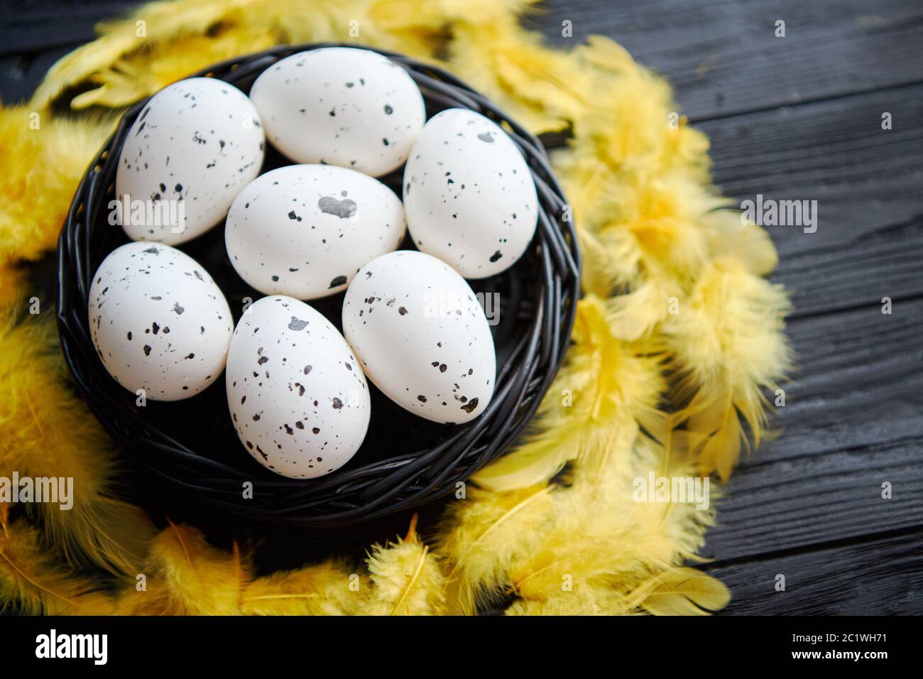 Chicken on its nest of eggs hi-res stock photography and images - Alamy