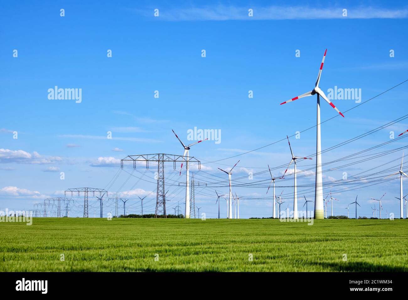 Wind turbines and power lines in a corn field in rural Germany Stock Photo