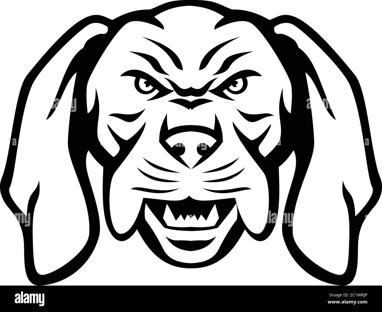 Black and white mascot illustration of head of an angry and aggressive Hungarian or Magyar Vizsla sporting, pointer and retriever dog viewed from fron Stock Vector