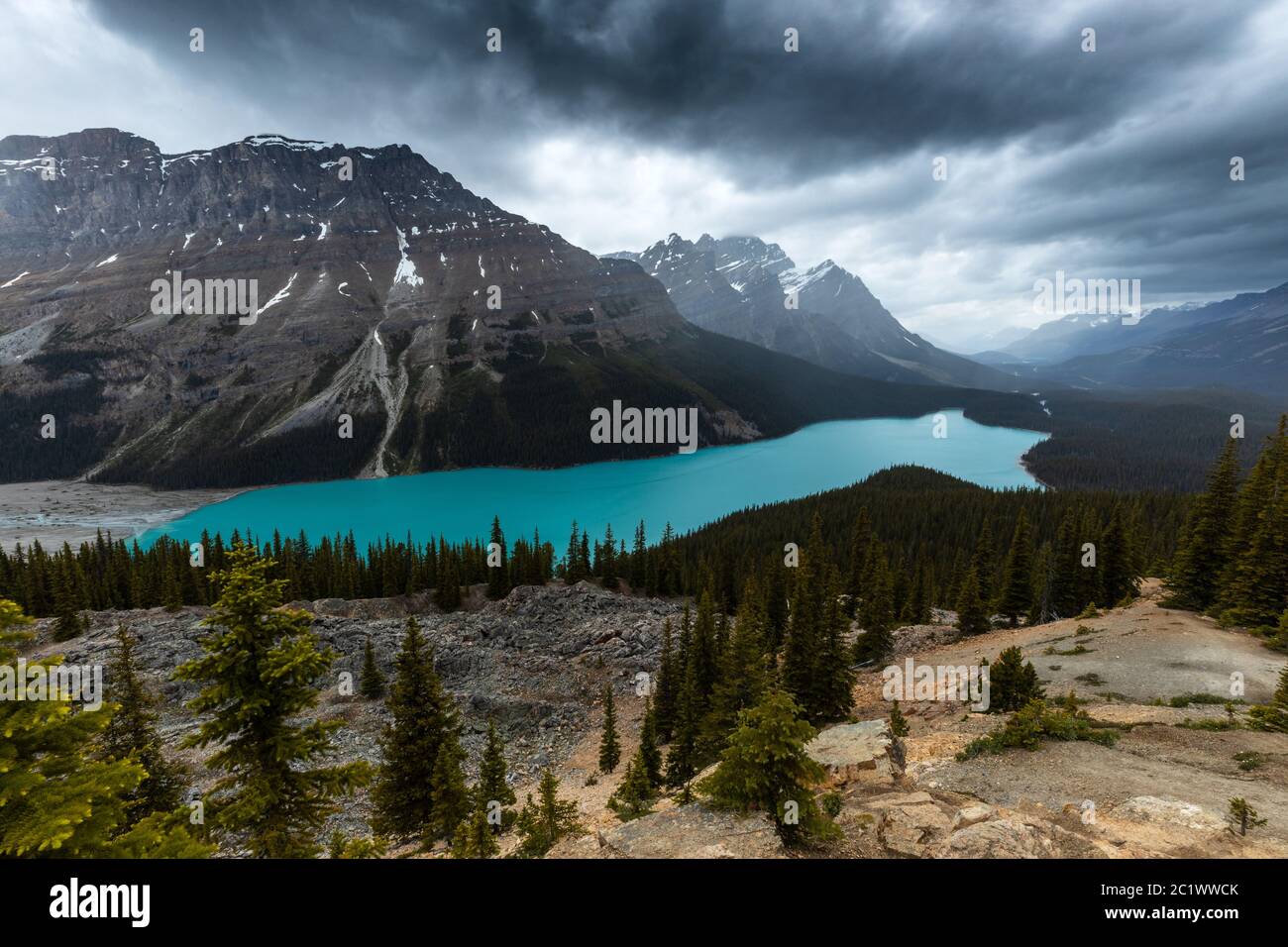 Lake Peyto in Banff National Park in Canada Stock Photo